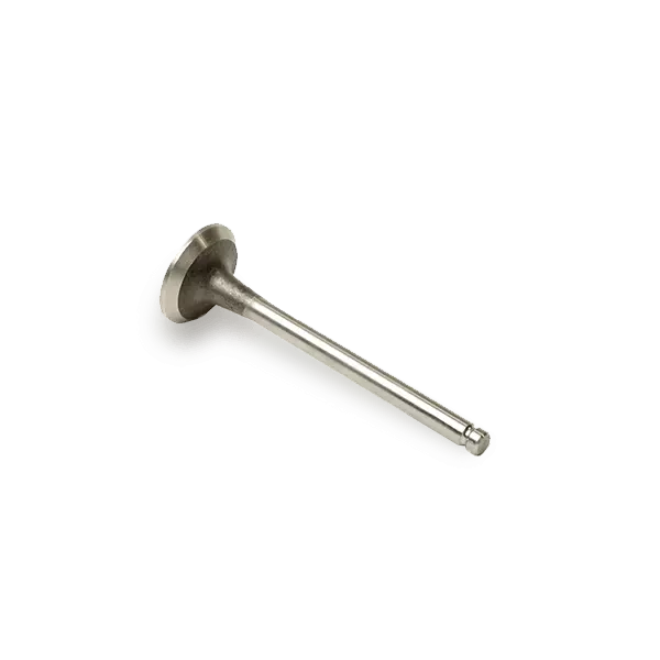 Ae Pakoventtiili Opel,Renault,Nissan V94191 4402634,4415922,Mw30620686 1320200Qan,13202Aw300,4402634,4415922,7700110388,7700110389,7701471703,4415922