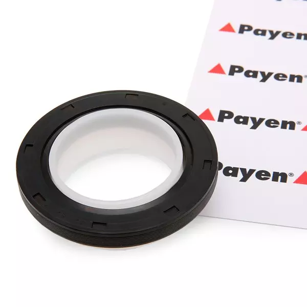 Payen Kampiakselin Tiiviste Opel,Ford,Renault Na5191 9645863080,961494980,1350608